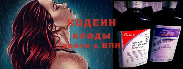 спиды Богородск