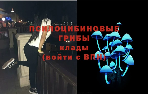 мефедрон Богородицк