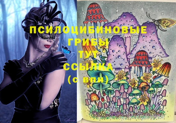 MDMA Богданович