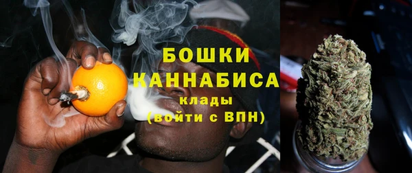 спиды Богородск