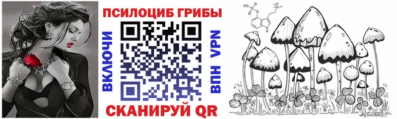 Псилоцибиновые грибы мицелий  Холмск 