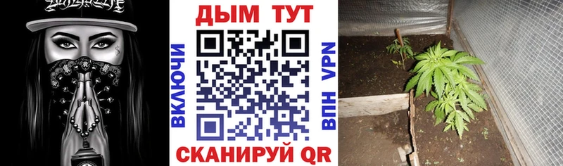 как найти закладки  KRAKEN как войти  Бошки Шишки Bruce Banner  Холмск 